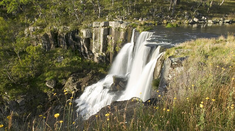 Ebor Falls, between Armidale and Dorrigo. Photo: Hamilton Lund, Destination NSW