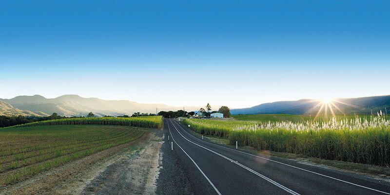 mackay_canefields